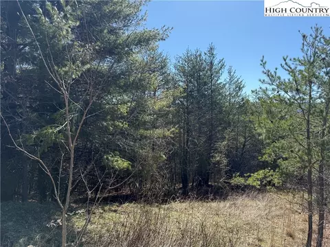 lot3 Alta Vista Ln, Sparta, NC 28675