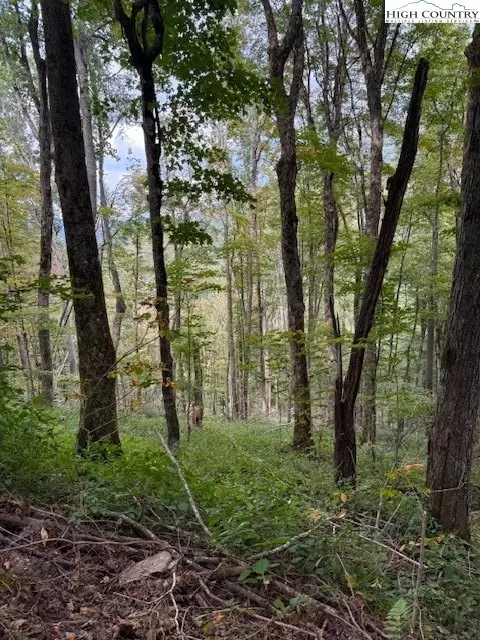 lot74 A Tbd Poplar Trl, Creston, NC 28615