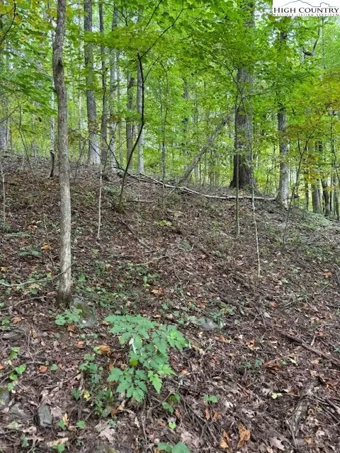 lot770 Tbd Ivy Ct, Creston, NC 28615