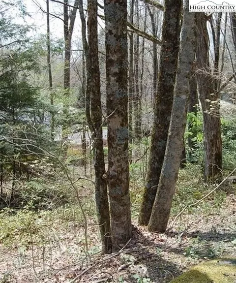 439 Locust Rd, Newland, NC 28657