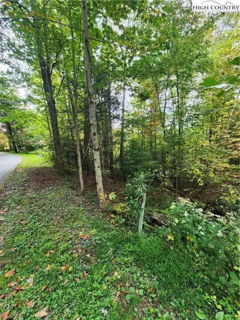 72 Sourwood Knl, Newland, NC 28657
