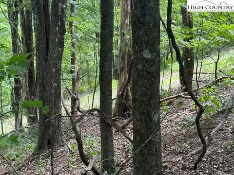 lot648 Longview Ln Or Merrywood Dr, West Jefferson, NC 28694