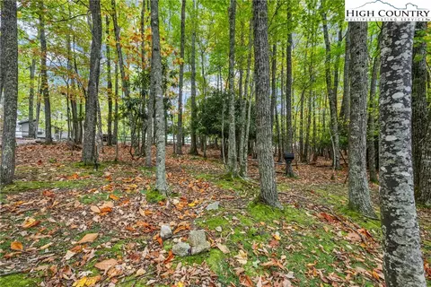 Other - 713 Pine Ridge Rd, Beech Mountain, NC 28604 photo 8 of 9