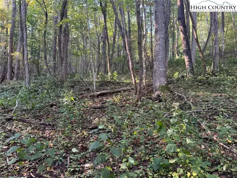 3 59 Acres Mulberry Cove Rd, Boone, NC 28607