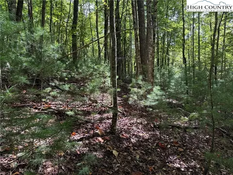 lot229 Deer Run Rd, Purlear, NC 28665 photo 9