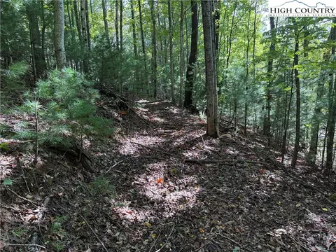 lot229 Deer Run Rd, Purlear, NC 28665 photo 10