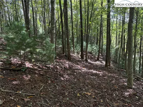 lot229 Deer Run Rd, Purlear, NC 28665 photo 8