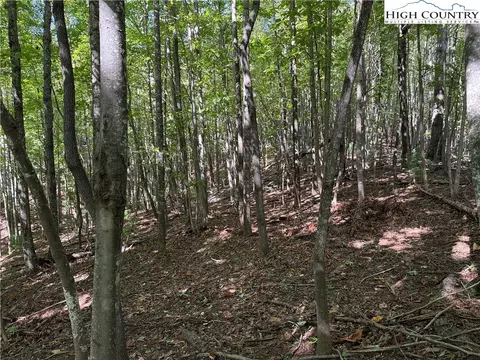 lot229 Deer Run Rd, Purlear, NC 28665 photo 5