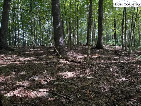 lot229 Deer Run Rd, Purlear, NC 28665 photo 2