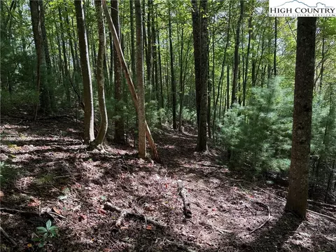 lot229 Deer Run Rd, Purlear, NC 28665 photo 7