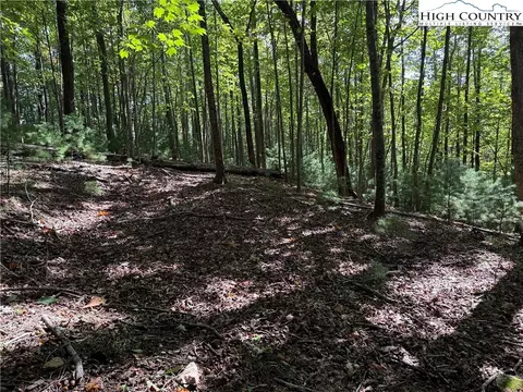 lot229 Deer Run Rd, Purlear, NC 28665 photo 6