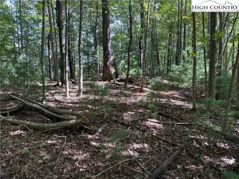 lot229 Deer Run Rd, Purlear, NC 28665 photo 4