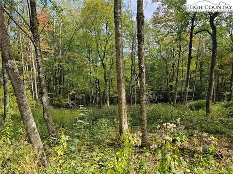 lot29 Lee Gualtney Rd, Banner Elk, NC 28604