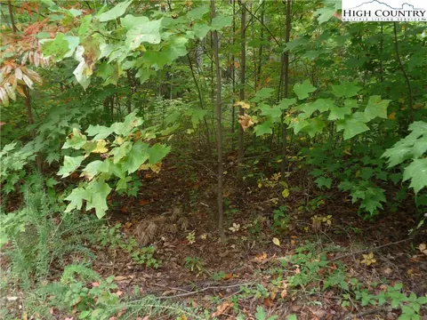 144 Galax Dr, Black Mountain, NC 28711