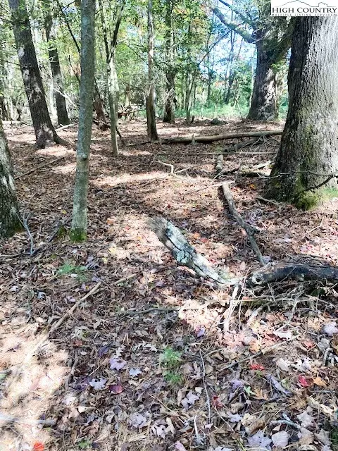tbd Hollyknoll Rd, Glade Valley, NC 28627