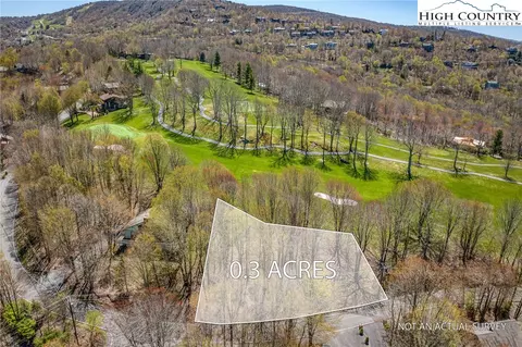 201 Grassy Gap Loop Rd, Beech Mountain, NC 28604 photo 4