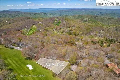 201 Grassy Gap Loop Rd, Beech Mountain, NC 28604 photo 2