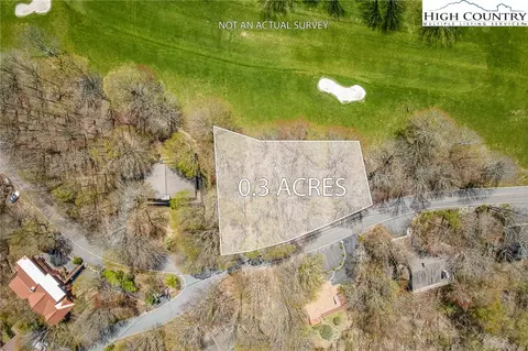 201 Grassy Gap Loop Rd, Beech Mountain, NC 28604 photo 6