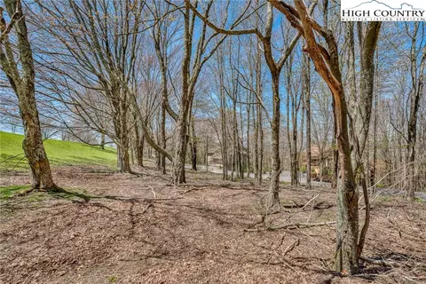 201 Grassy Gap Loop Rd, Beech Mountain, NC 28604 photo 3