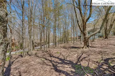 201 Grassy Gap Loop Rd, Beech Mountain, NC 28604 photo 7