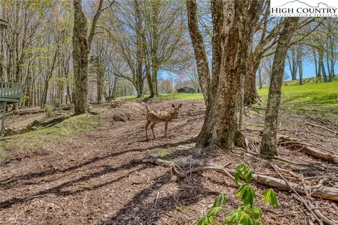 201 Grassy Gap Loop Rd, Beech Mountain, NC 28604
