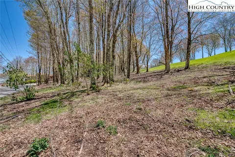 201 Grassy Gap Loop Rd, Beech Mountain, NC 28604 photo 5