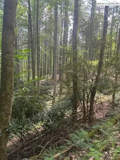 lot17 Sunny Ln, Crumpler, NC 28617