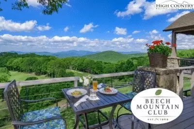 101 Hornbeam Rd #2B, Beech Mountain, NC 28604 photo 30