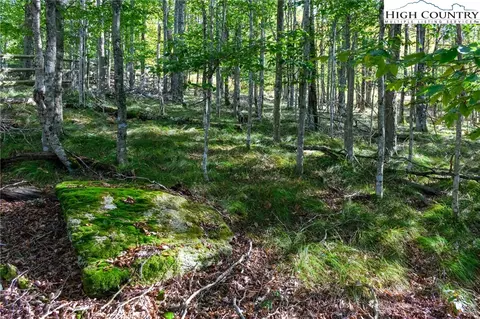123 Briarwood Ln, Beech Mountain, NC 28604