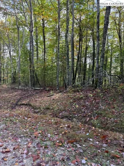 lot44 A Buckeye Ridge Rd, Beech Mountain, NC 28604