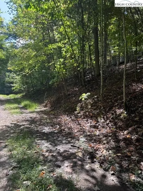 166 Wild Iris, Beech Mountain, NC 28604 photo 3