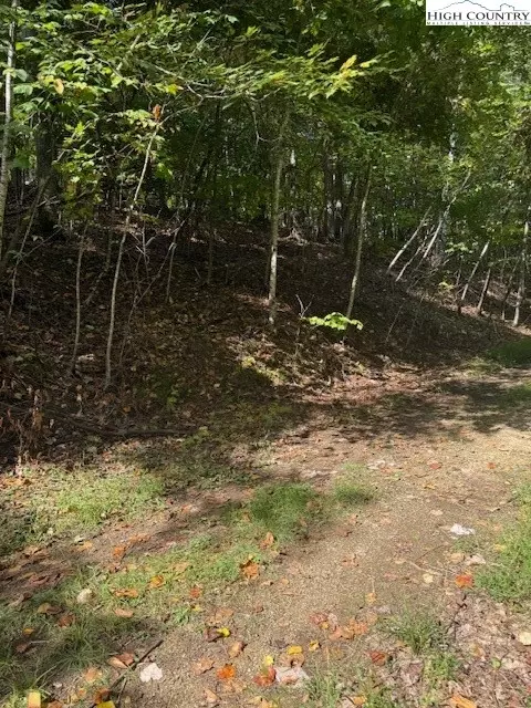 166 Wild Iris, Beech Mountain, NC 28604 photo 2
