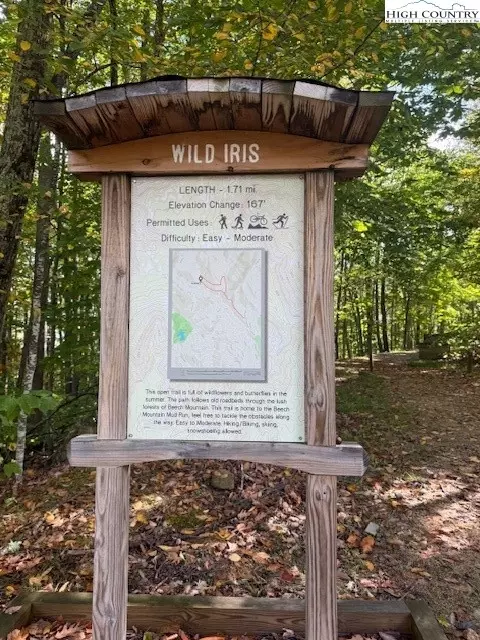 166 Wild Iris, Beech Mountain, NC 28604 photo 4
