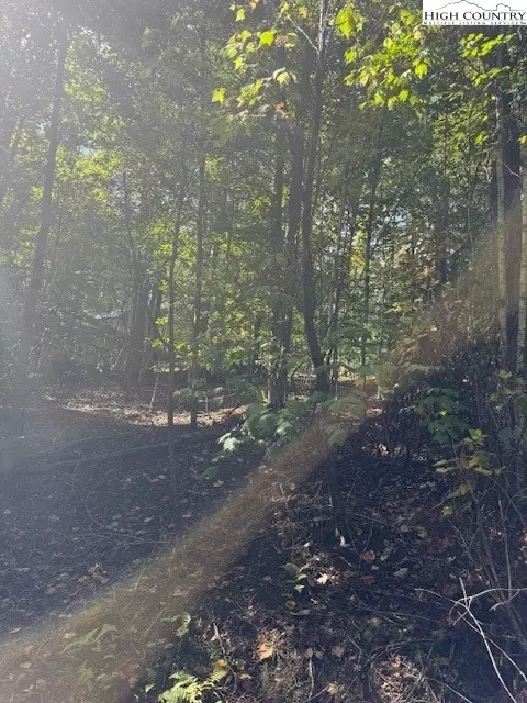 166 Wild Iris, Beech Mountain, NC 28604