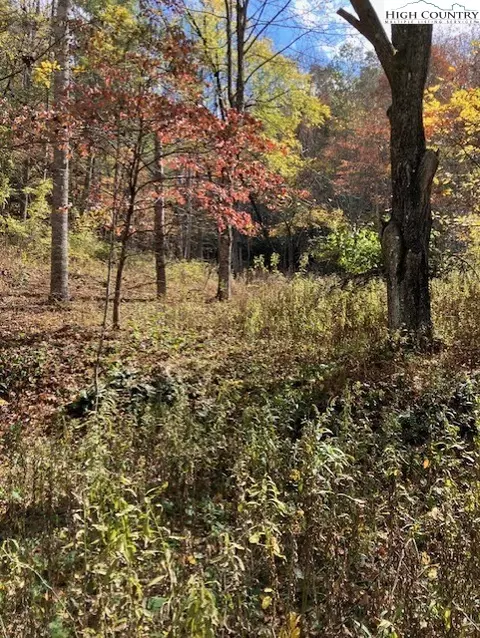 tbd Nc Hwy 194 S, Vilas, NC 28692