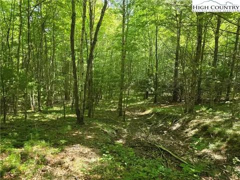 lot50 Deer Spring Lnwhite Tail Trl, West Jefferson, NC 28694