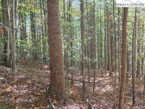 Other - 4091 Big Ivy Rd, Purlear, NC 28665 photo 21 of 22