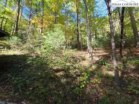 Other - 4091 Big Ivy Rd, Purlear, NC 28665 photo 9 of 22