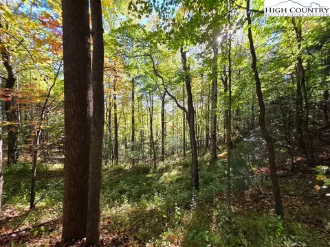 Other - 4091 Big Ivy Rd, Purlear, NC 28665 photo 13 of 22
