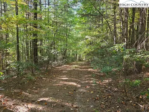 Other - 4091 Big Ivy Rd, Purlear, NC 28665 photo 18 of 22