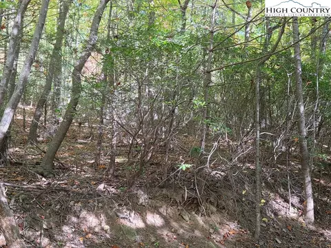 Other - 4091 Big Ivy Rd, Purlear, NC 28665 photo 22 of 22