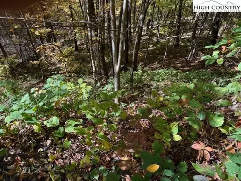 lot53 53a Poplar Trl, Creston, NC 28615