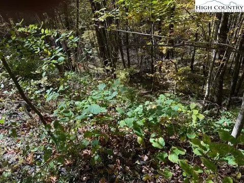lot677 Three Top Trailhead Access Rd, Creston, NC 28615 photo 2