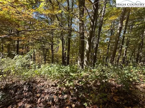 lot677 Three Top Trailhead Access Rd, Creston, NC 28615 photo 3