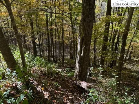 lot677 Three Top Trailhead Access Rd, Creston, NC 28615 photo 4