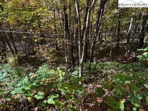 lot677 Three Top Trailhead Access Rd, Creston, NC 28615