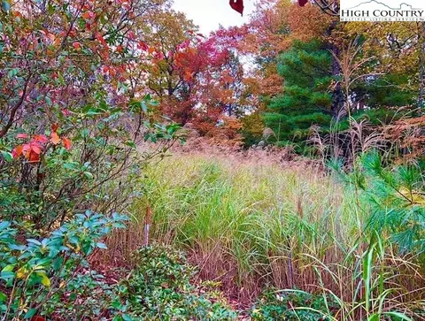 tbd Troon Ave #167, Roaring Gap, NC 28668 photo 6