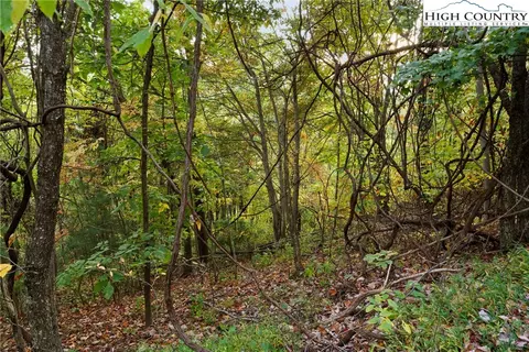 lot16 Little Ivy Ln, Deep Gap, NC 28618