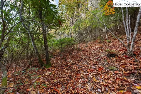 244 Poplar Dr, Beech Mountain, NC 28604 photo 8