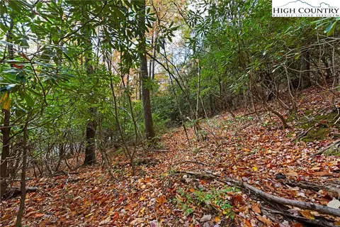 244 Poplar Dr, Beech Mountain, NC 28604 photo 7